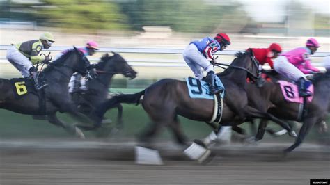 horse betting north carolina